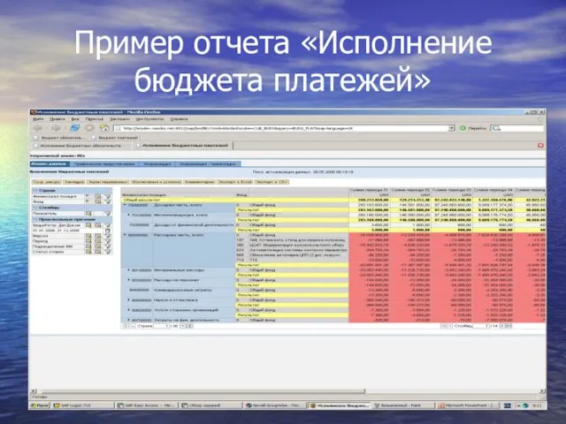 Пример отчета «Исполнение бюджета платежей»