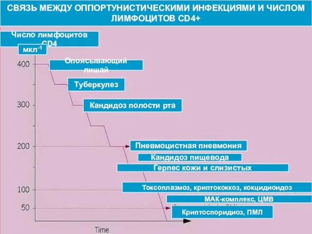 СВЯЗЬ МЕЖДУ ОППОРТУНИСТИЧЕСКИМИ ИНФЕКЦИЯМИ И ЧИСЛОМ ЛИМФОЦИТОВ CD4+ Число лимфоцитов CD4 мкл-1