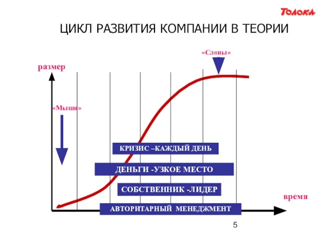 ЦИКЛ РАЗВИТИЯ КОМПАНИИ В ТЕОРИИ время размер «Мыши» «Слоны» СОБСТВЕННИК -ЛИДЕР АВТОРИТАРНЫЙ