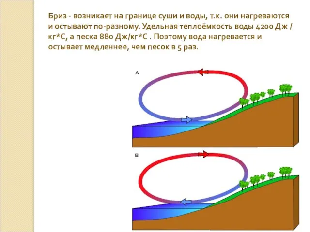 Бриз - возникает на границе суши и воды, т.к. они нагреваются и