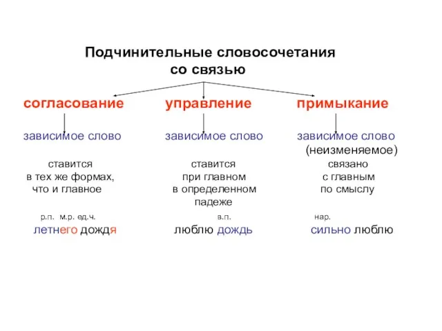 Подчинительные словосочетания со связью согласование управление примыкание зависимое слово зависимое слово зависимое