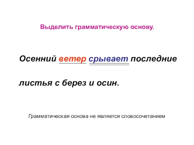 Выделить грамматическую основу. Осенний ветер срывает последние листья с берез и осин.