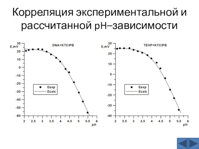 Корреляция экспериментальной и рассчитанной pH–зависимости