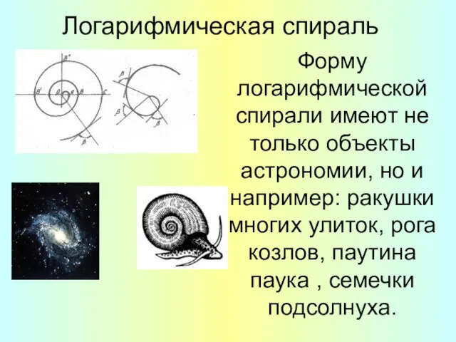 Логарифмическая спираль Форму логарифмической спирали имеют не только объекты астрономии, но и
