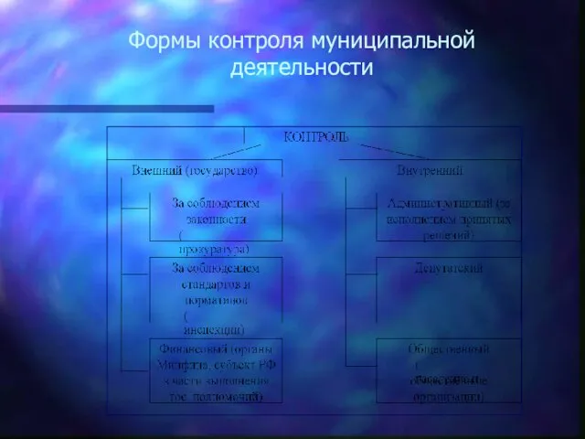 Формы контроля муниципальной деятельности