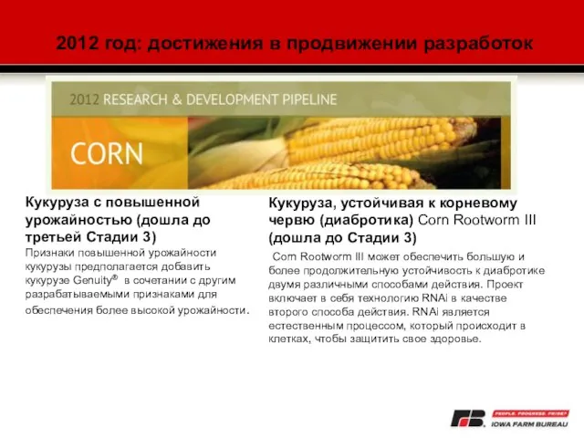 Кукуруза, устойчивая к корневому червю (диабротика) Corn Rootworm III (дошла до Стадии