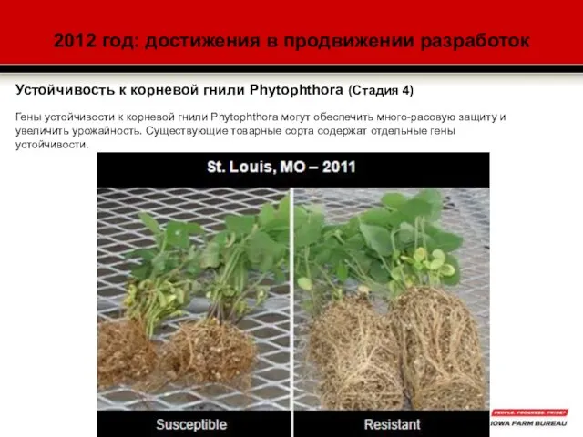 2012 год: достижения в продвижении разработок