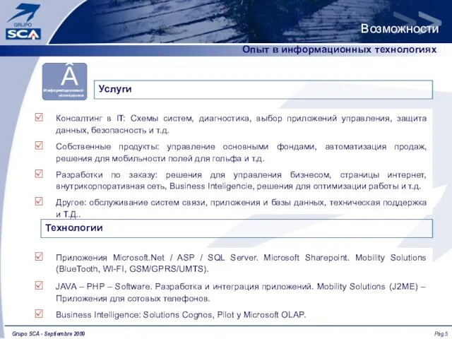 Возможности ` Опыт в информационных технологиях Услуги Консалтинг в IT: Схемы систем,