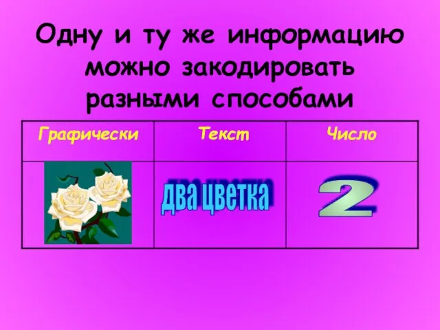 Одну и ту же информацию можно закодировать разными способами два цветка 2