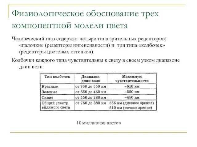 Физиологическое обоснование трех компонентной модели цвета Человеческий глаз содержит четыре типа зрительных