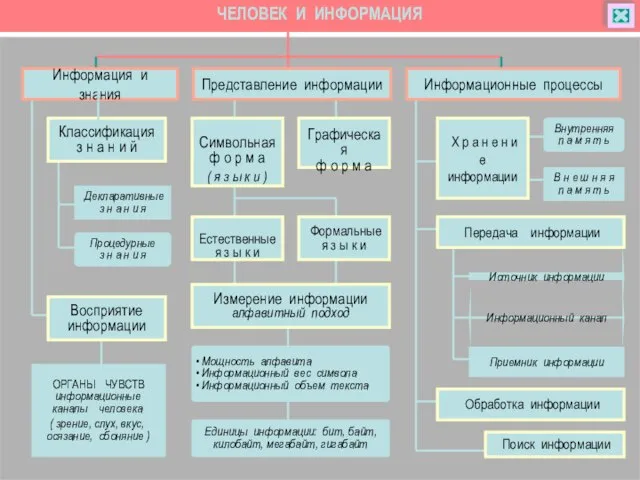 ЧЕЛОВЕК И ИНФОРМАЦИЯ ОРГАНЫ ЧУВСТВ информационные каналы человека ( зрение, слух, вкус,