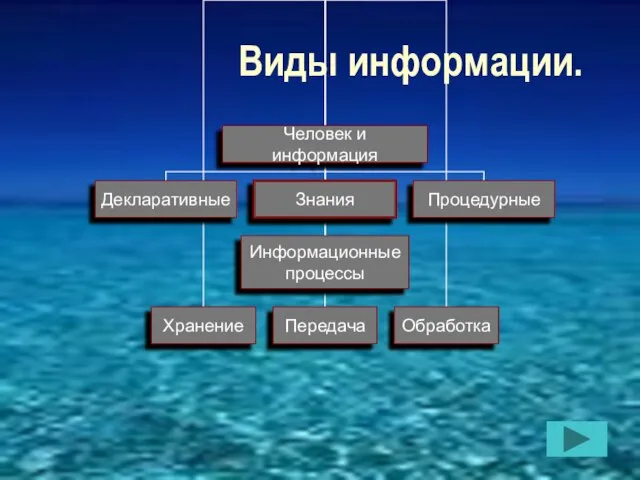 Виды информации.