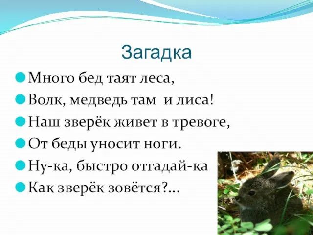 Загадка Много бед таят леса, Волк, медведь там и лиса! Наш зверёк