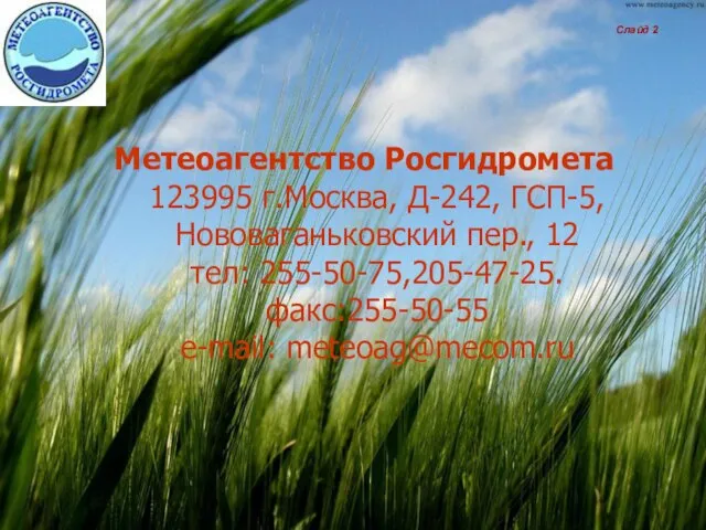 Метеоагентство Росгидромета 123995 г.Москва, Д-242, ГСП-5, Нововаганьковский пер., 12 тел: 255-50-75,205-47-25. факс:255-50-55 e-mail: meteoag@mecom.ru Слайд 2