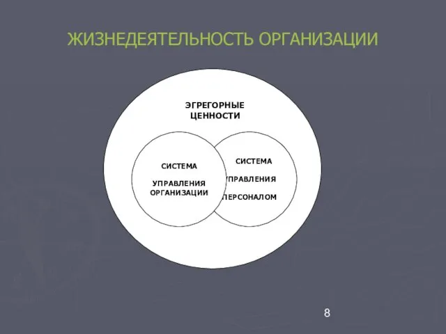 ЖИЗНЕДЕЯТЕЛЬНОСТЬ ОРГАНИЗАЦИИ ЭГРЕГОРНЫЕ ЦЕННОСТИ СИСТЕМА УПРАВЛЕНИЯ ПЕРСОНАЛОМ СИСТЕМА УПРАВЛЕНИЯ ОРГАНИЗАЦИИ