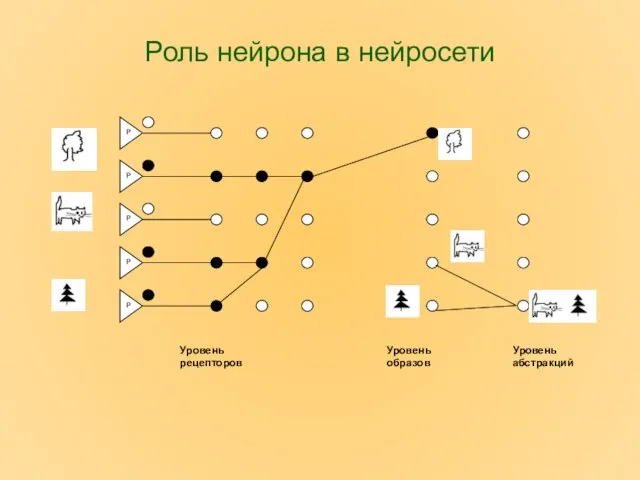 Роль нейрона в нейросети Уровень рецепторов Уровень образов Уровень абстракций