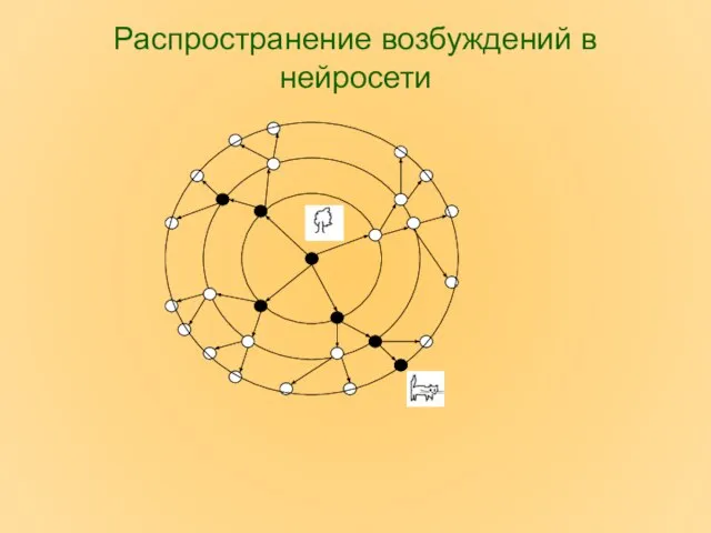 Распространение возбуждений в нейросети