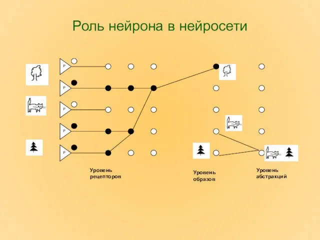 Роль нейрона в нейросети Уровень рецепторов Уровень образов Уровень абстракций