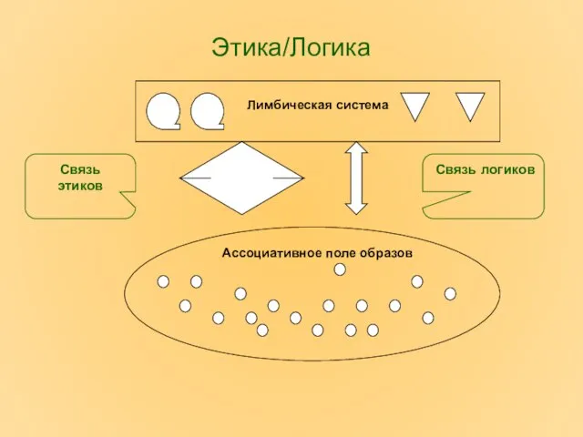 Этика/Логика Лимбическая система Ассоциативное поле образов Связь этиков Связь логиков