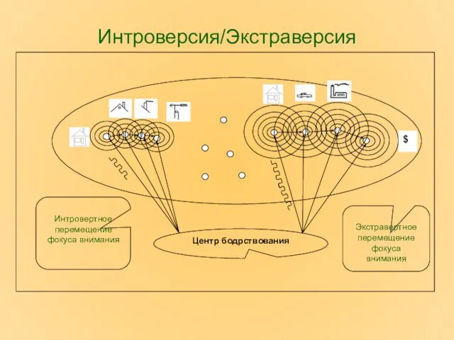 Интроверсия/Экстраверсия Центр бодрствования $ Интровертное перемещение фокуса внимания Экстравертное перемещение фокуса внимания