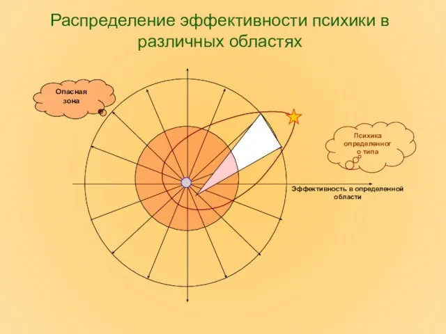 Распределение эффективности психики в различных областях Эффективность в определенной области Психика определенного типа Опасная зона