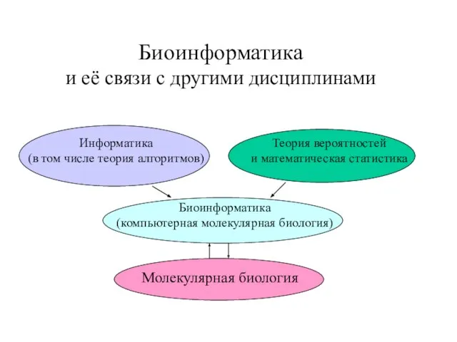 Биоинформатика и её связи с другими дисциплинами Биоинформатика (компьютерная молекулярная биология) Молекулярная