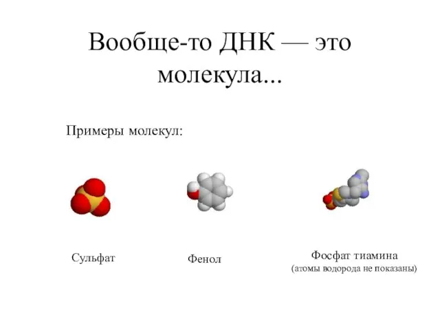 Вообще-то ДНК — это молекула... Примеры молекул: Сульфат Фенол Фосфат тиамина (атомы водорода не показаны)