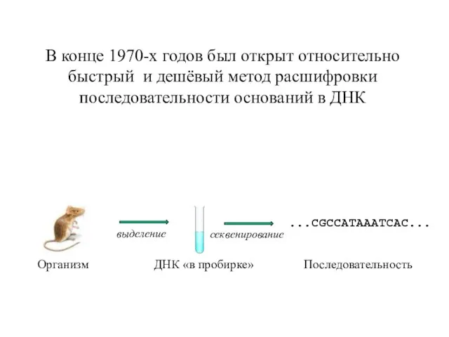 В конце 1970-х годов был открыт относительно быстрый и дешёвый метод расшифровки