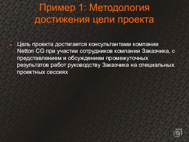 Пример 1: Методология достижения цели проекта Цель проекта достигается консультантами компании Netton