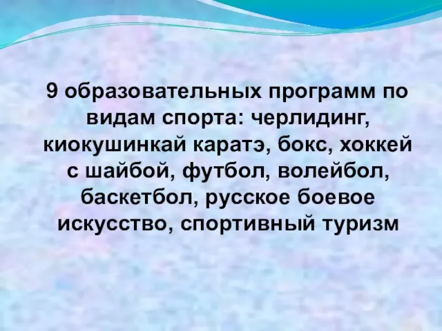 9 образовательных программ по видам спорта: черлидинг, киокушинкай каратэ, бокс, хоккей с