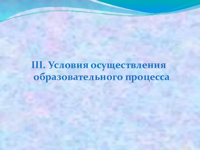 III. Условия осуществления образовательного процесса