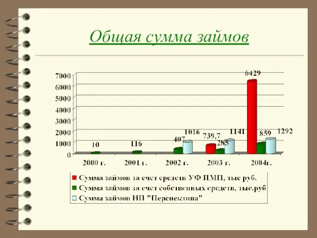 Общая сумма займов