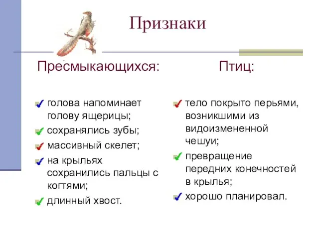 Признаки Пресмыкающихся: голова напоминает голову ящерицы; сохранялись зубы; массивный скелет; на крыльях