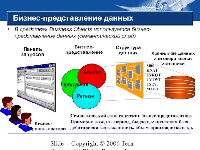 Slide - Copyright © 2006 Tern Group - All Rights Reserved Структура
