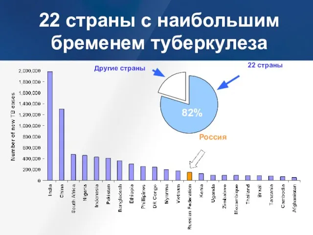 22 страны с наибольшим бременем туберкулеза Россия