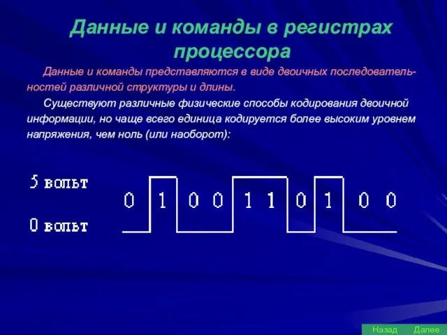 Данные и команды в регистрах процессора Данные и команды представляются в виде