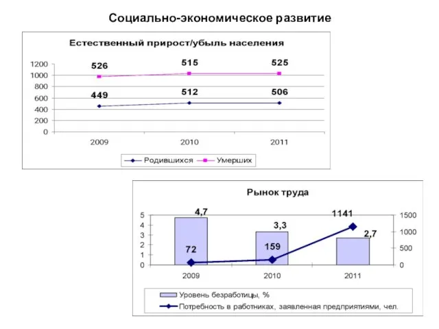 Социально-экономическое развитие