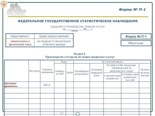 Форма № П-1 Раздел 5. Производство и отгрузка по видам продукции и