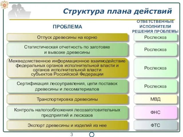 Структура плана действий Отпуск древесины на корню Статистическая отчетность по заготовке и