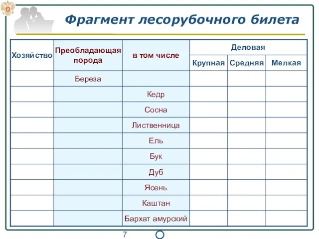 Фрагмент лесорубочного билета