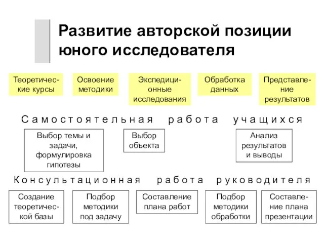 Развитие авторской позиции юного исследователя Теоретичес-кие курсы Освоение методики Экспедици-онные исследования Обработка