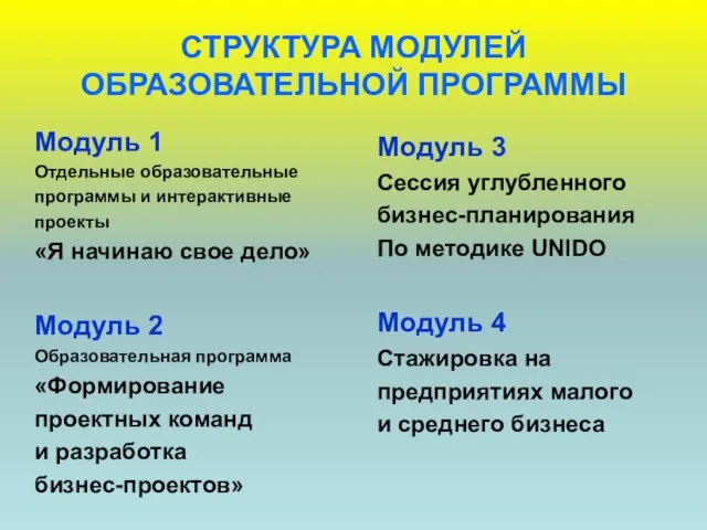 СТРУКТУРА МОДУЛЕЙ ОБРАЗОВАТЕЛЬНОЙ ПРОГРАММЫ Модуль 1 Отдельные образовательные программы и интерактивные проекты