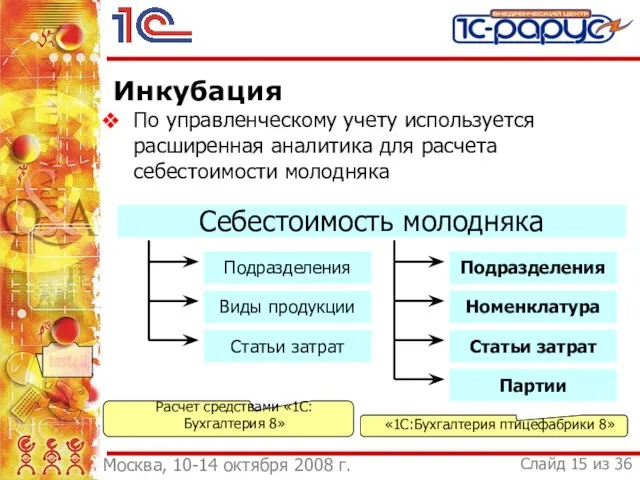 Инкубация По управленческому учету используется расширенная аналитика для расчета себестоимости молодняка