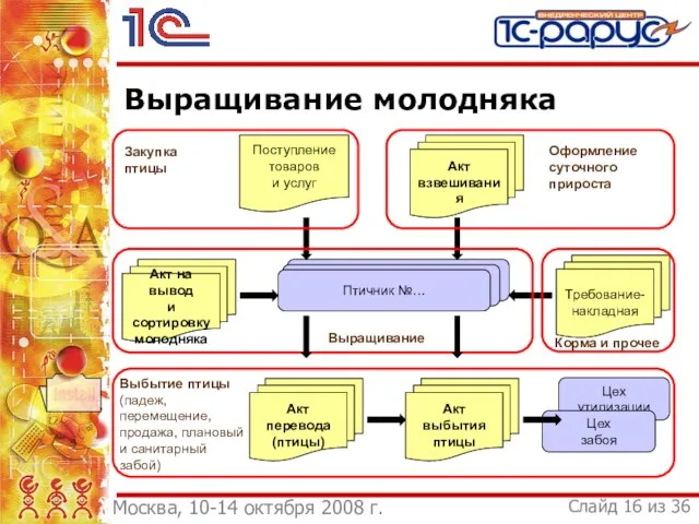 Выращивание молодняка