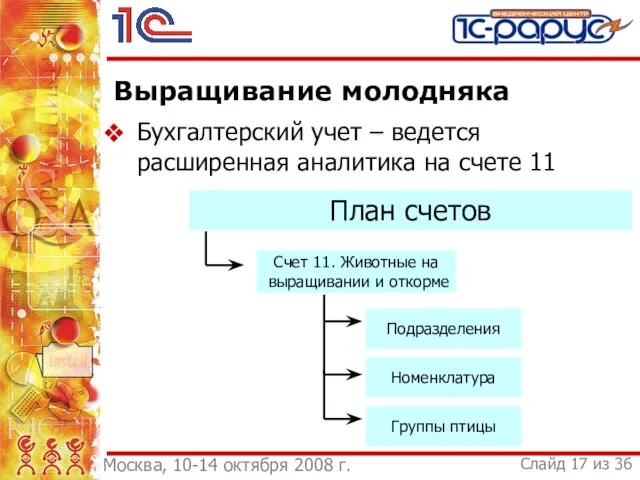 Бухгалтерский учет – ведется расширенная аналитика на счете 11 Выращивание молодняка