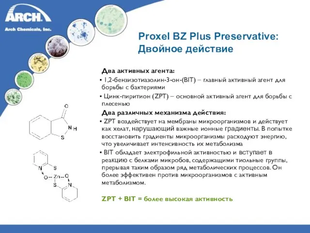 Proxel BZ Plus Preservative: Двойное действие Два активных агента: 1,2-бензизотиазолин-3-он-(BIT) – главный