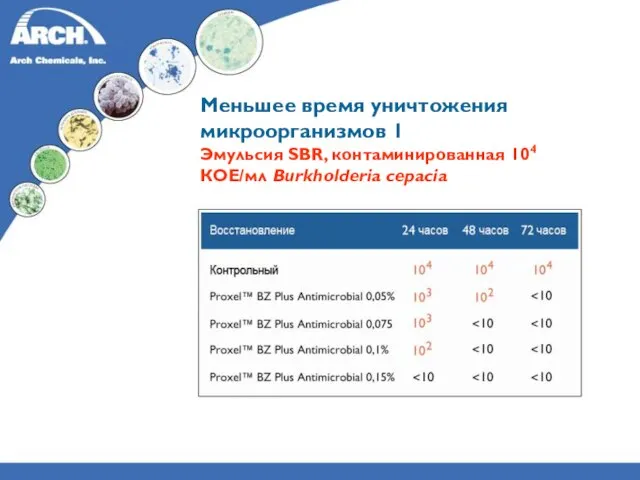 Меньшее время уничтожения микроорганизмов 1 Эмульсия SBR, контаминированная 104 КОЕ/мл Burkholderia cepacia