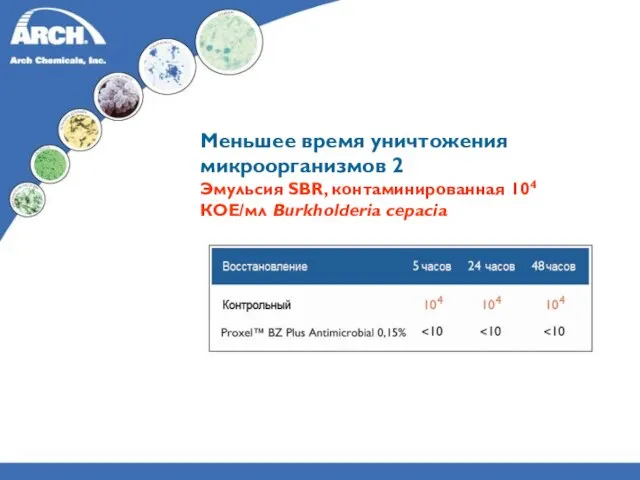 Меньшее время уничтожения микроорганизмов 2 Эмульсия SBR, контаминированная 104 КОЕ/мл Burkholderia cepacia