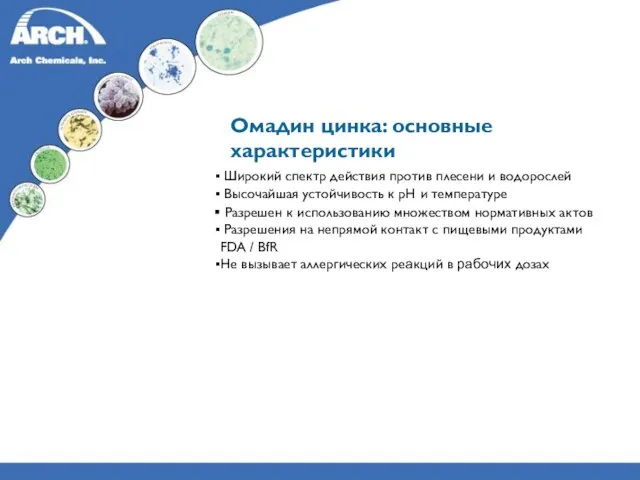 Омадин цинка: основные характеристики Широкий спектр действия против плесени и водорослей Высочайшая