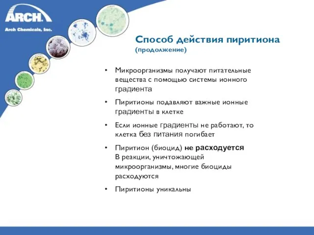 Микроорганизмы получают питательные вещества с помощью системы ионного градиента Пиритионы подавляют важные